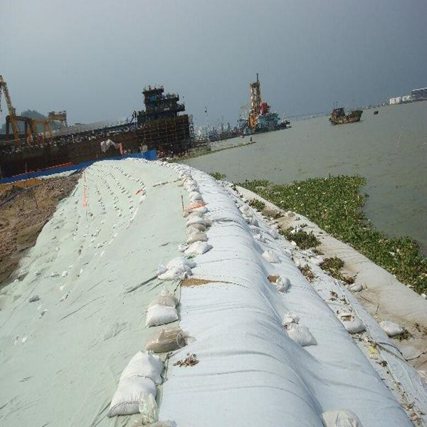 Polyester Geotextile Earthwork Products