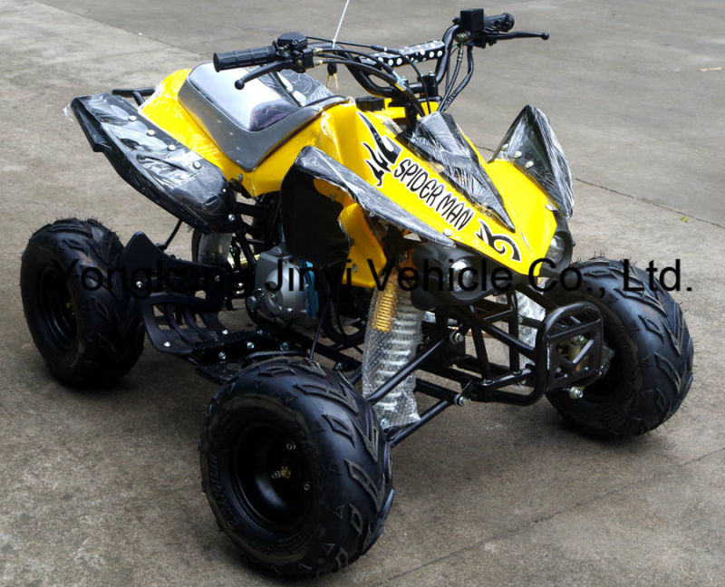 2016 Factory New Cheaper 110cc ATV (JY-100-1A)