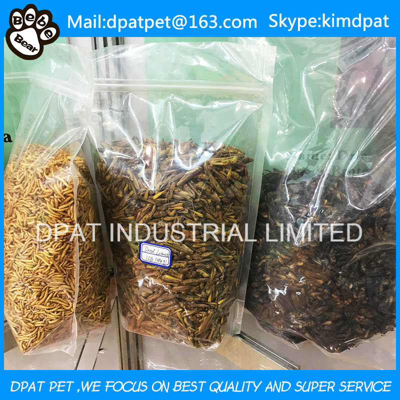 Wholesale Bulk Dried Mealworms for Pet Snacks Chicken Feed