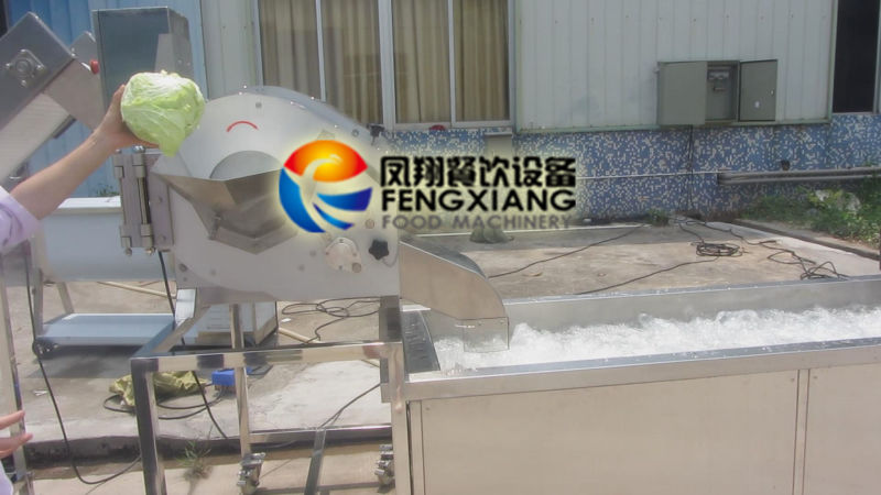 Cdwa-2000 Industrial Cabbage Dicing Washing Line, Vegetable Cutting Washing Processing Line, Lettuce Shredding Washing Production Line