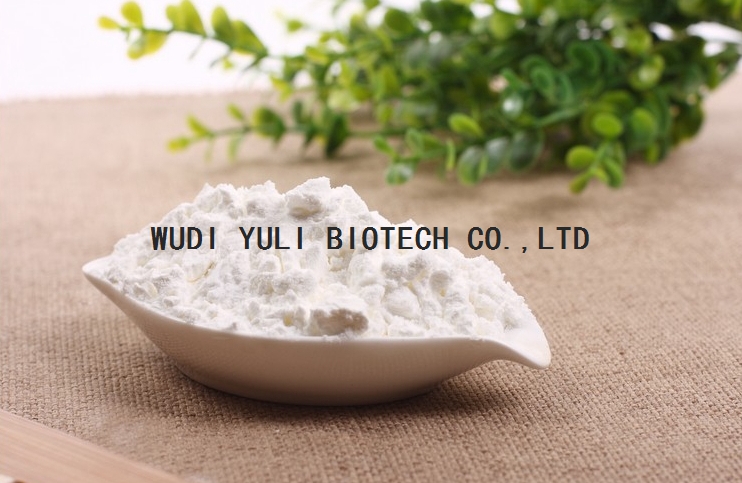 Industrial Grade Corn Starch- Maize Starch