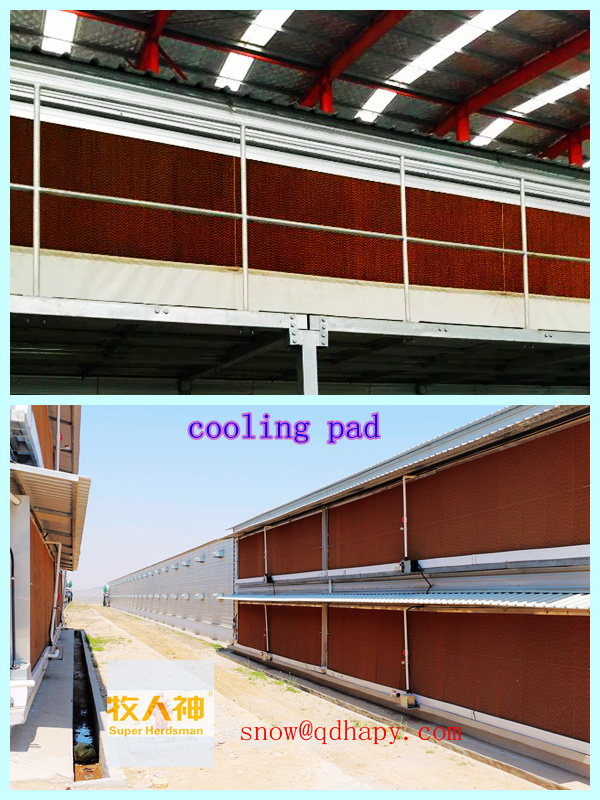 Automatic Equipment in Poultry House with Prefab House Construction