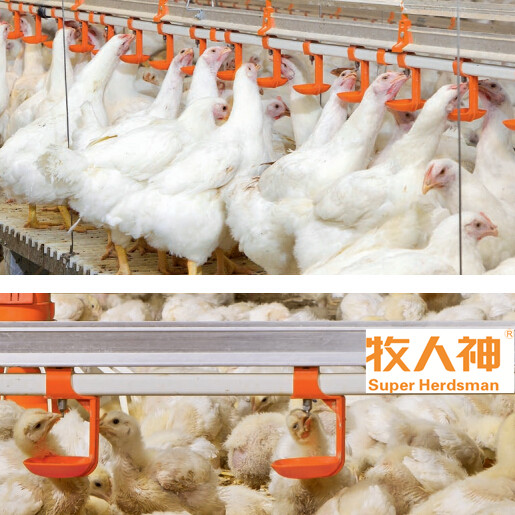 Automatic Poultry Equipment Nipple Drinker for Chicken