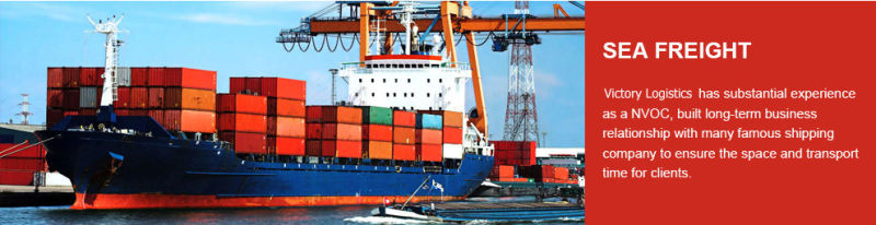 Freight Agent/Shipping Freight/Sea Freight/ From China to Worldwide