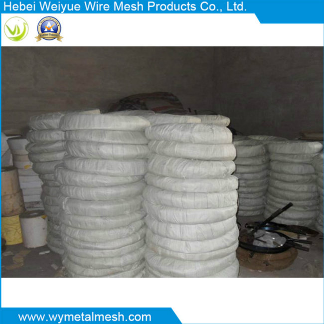 Contertina Wire for Wire Mesh Fence