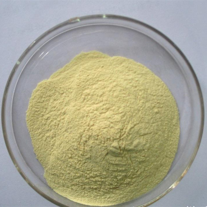 97% USP Vitamin B9 Powder Folic Acid