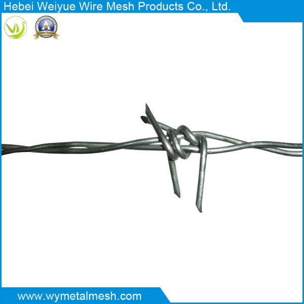 Double Line Barbed Iron Wire Mesh