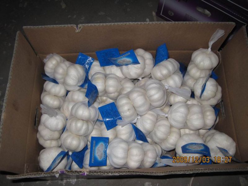 2015 New Crop Small Mesh Bag Packing Pure White Garlic