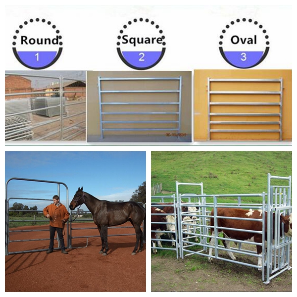 America PVC Coated Horse Yards with ISO