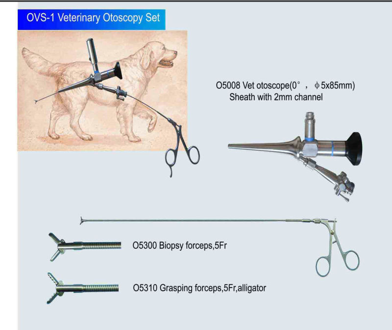 Veterinary Otoscope Ear Rigid Endoscope