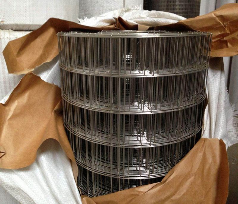 1 Inch 2X2 Galvanized & PVC Coated Welded Wire Mesh