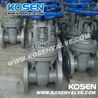 GOST Cast Steel Gate Valves Pn25 (Z40)