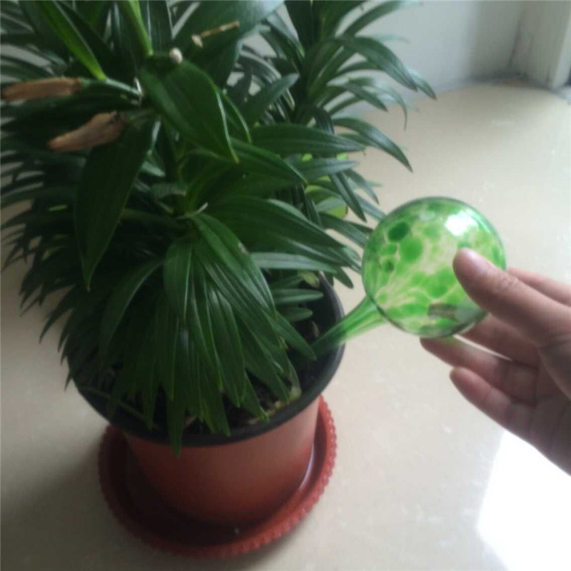 Automatic Watering Glass Bulbs/Sphere/Globes for Household Watering