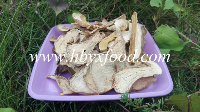 Bulk Package Crop Wild Dried Funghi Organic Slice Porcini Mushroom