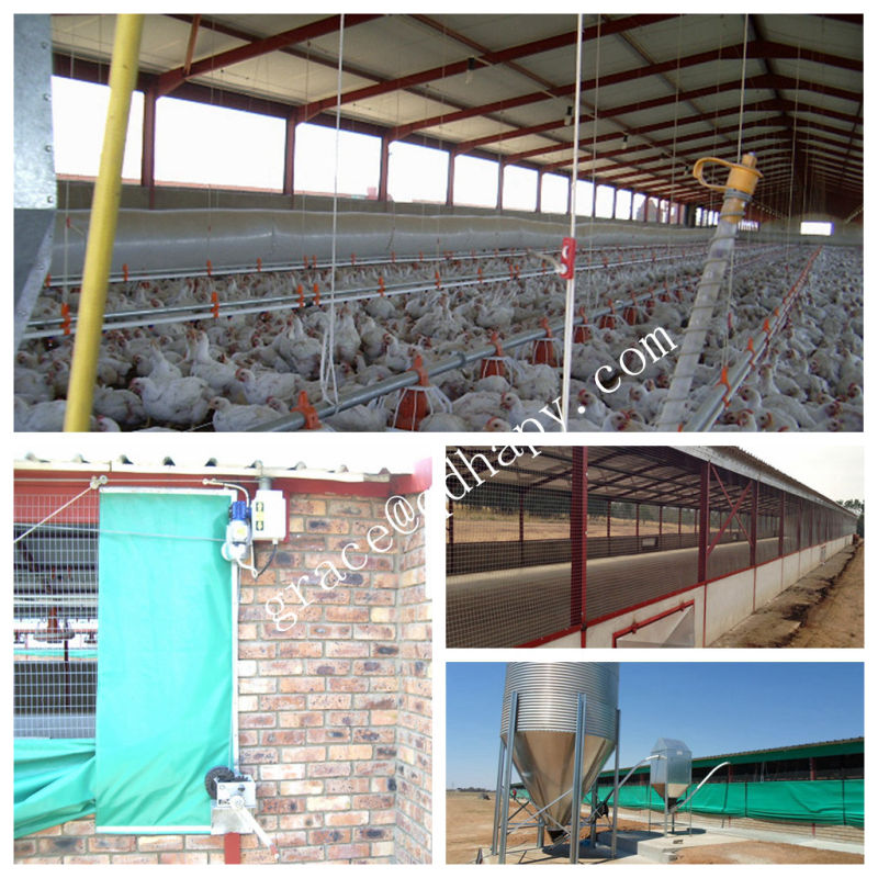 Automatic Poultry Farm Equipment for Broiler Production