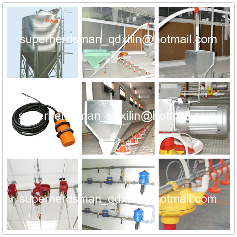 Complete Set Automatic Poultry Farming Equipment