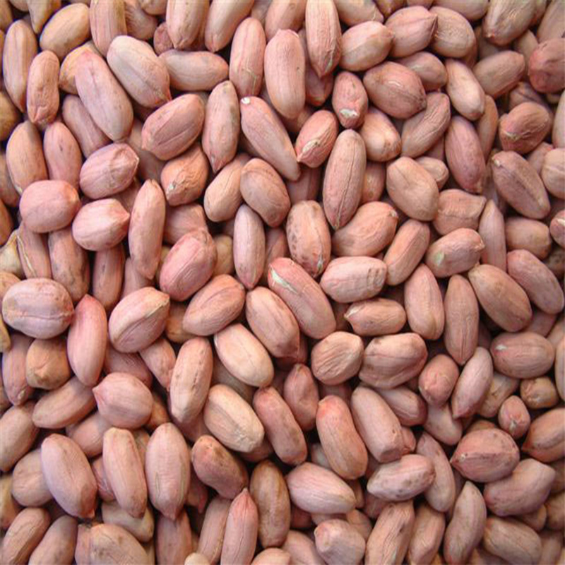Chinese Red Skin Peanut Kernels