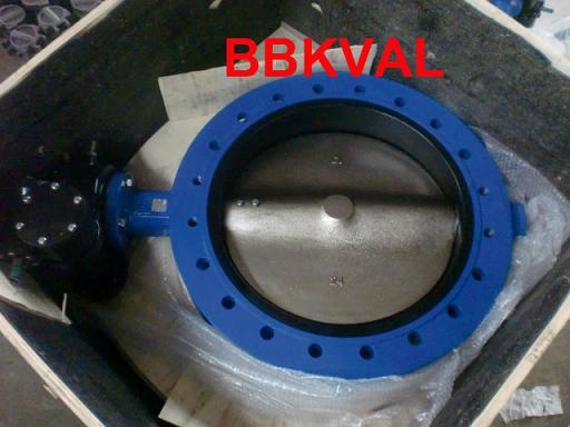 Centric U Type Double Flange Butterfly Valve