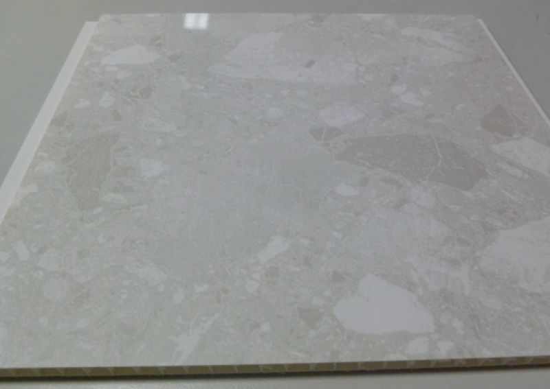 PVC Wall Panel (BSL-079)