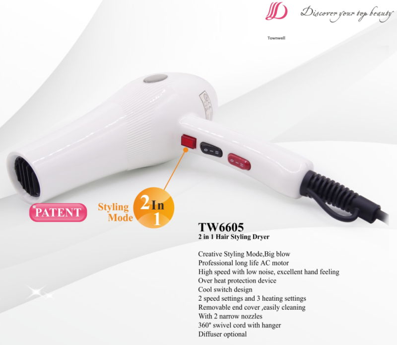 Professional Salon Equipment AC Hair Dryer