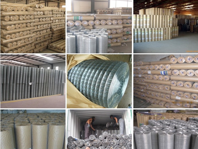 High Galvanized PVC Welded Wire Mesh Roll