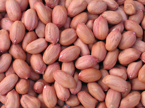 High Quality Peanut Kernels with Red Skin
