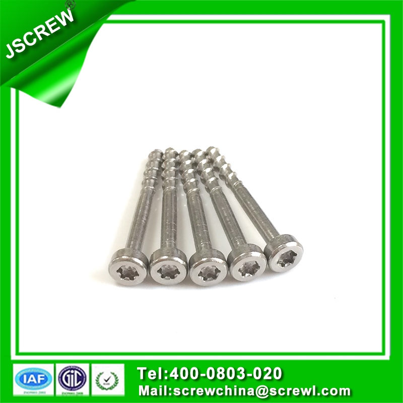 18-8 Stainless Steel Torx Socket Head Cap Screw