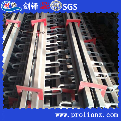 High Performance Steel Shape Expansion Joint (Made in China)