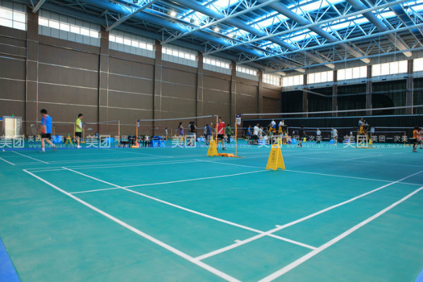 Indoor Steel Frame Badminton Stadium Football Sport Gym