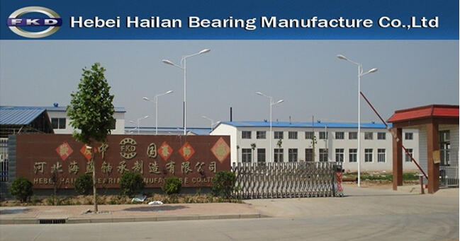 Ball Bearing Roller Bearing Auto Bearing and All Kinds of Stainless Steel Bearing