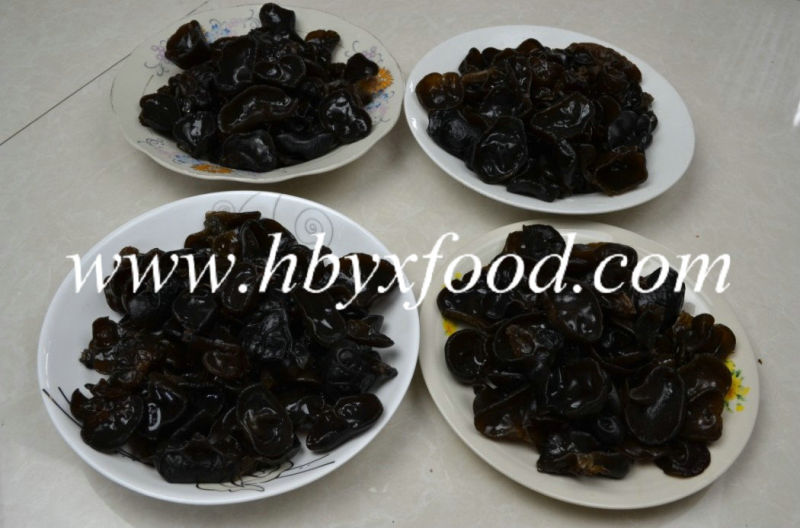 Dried Tree Ear Black Fungus