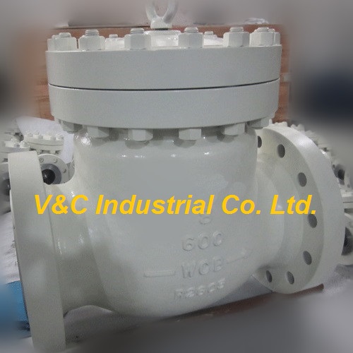 Wcb Flanged Swing Check Valve