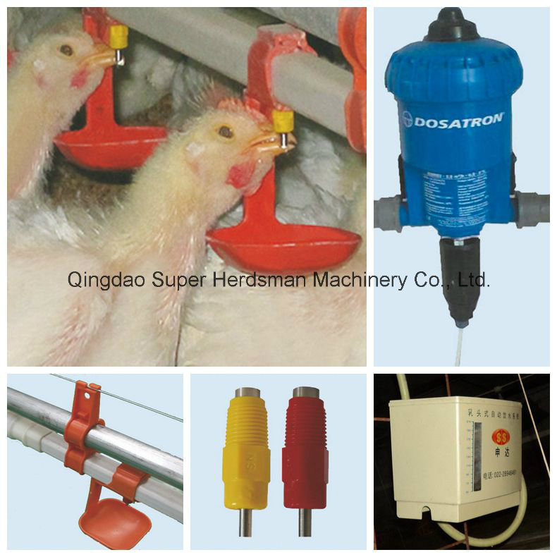 Automatic Chicken Drinking Equipment for Poultry Farm House