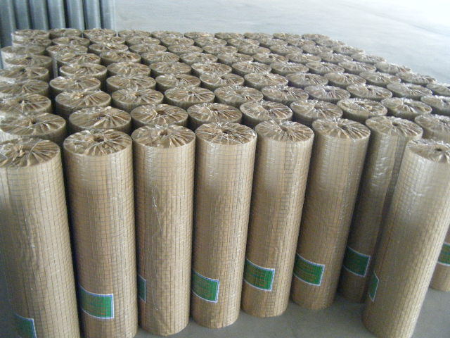 Galvanized Welded Wire Mesh (HP-001)