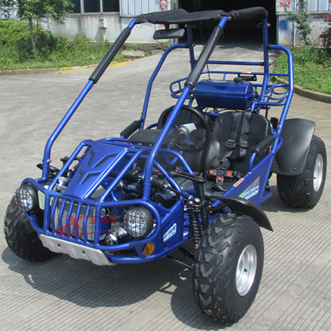 Chinese Adult 300cc Gas Pedal Go Kart