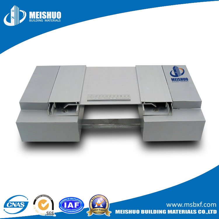 Steam Expansion Joints for Exterior Walls (MSNSK)