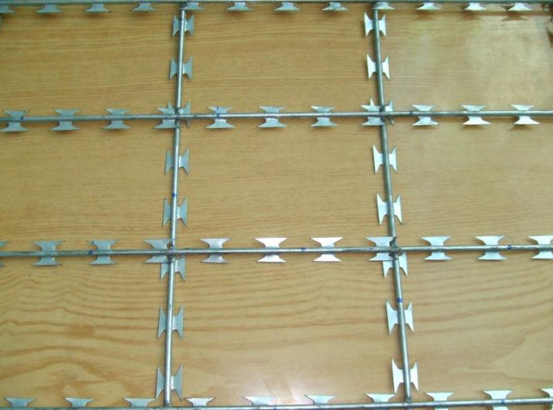 High Tensile Galvanized Sharp Razor Barbed Wire for Security Fence