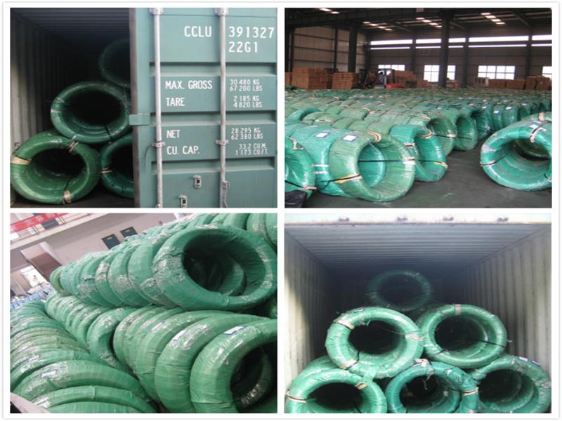 Galvanized Steel Wire 1.57mm-5.00mm