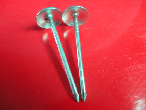 Common Umbrella Roofing Nail