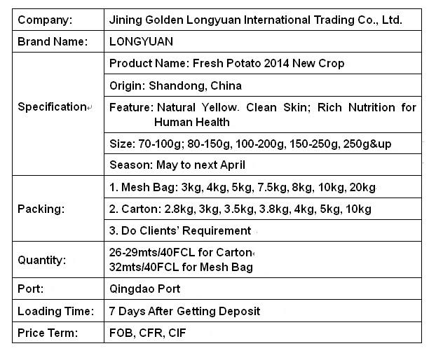 Chinese New Crop Fresh Holland Potato