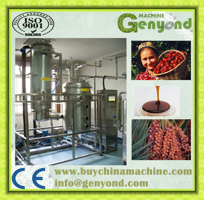 Hot Sale Date Syrup Plant (100-2000kg/Hour)