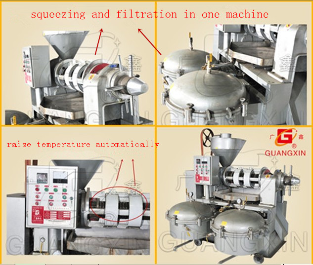 Top Quality Oil Press Machine Guangxin Yzlxq120 New Arrival Oil Press