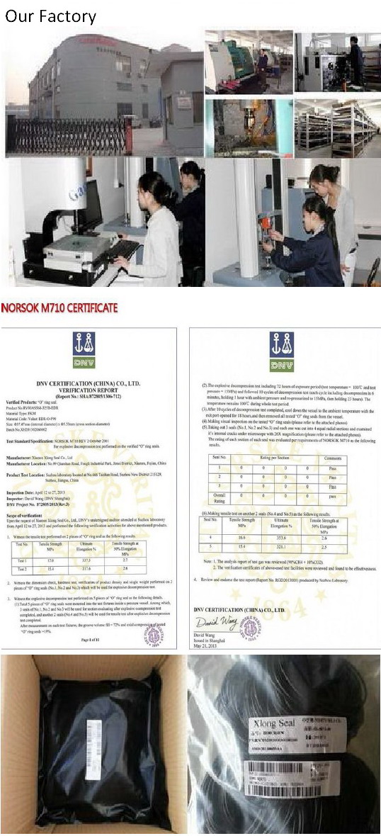 FKM Bsp Size Bonded Seal for Dynamic Seal