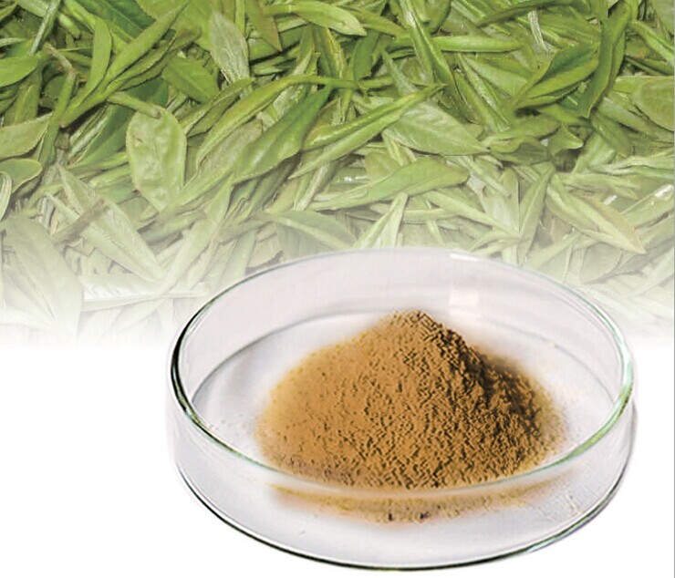 CAS No: 84650-60-2 Plant Extract Tea Polyphenol