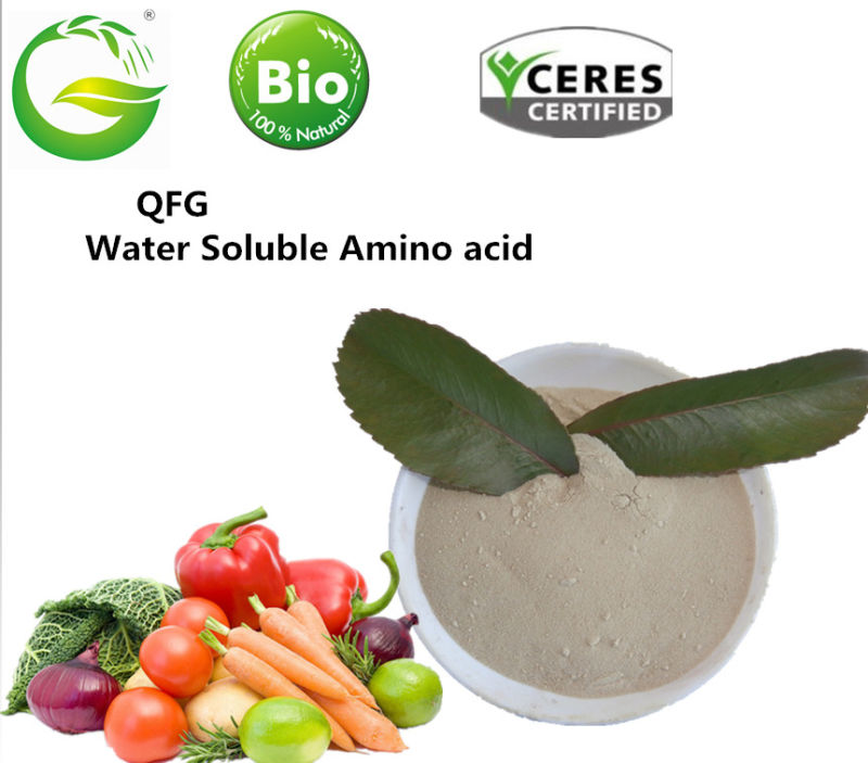 Solule Powder Organic Fertilizer Amino Acid