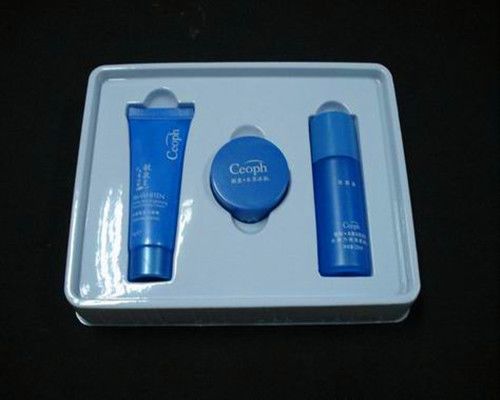 Supply Plastic Insert Tray for Cosmetic