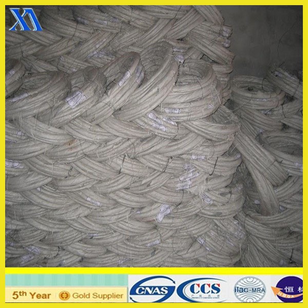 Hot Dipped Galvanized Wire with 60g Coating (XA-GW007)