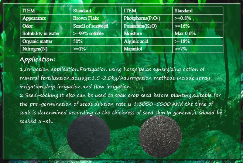 Sea Grape Seaweed Extract Fertilizer