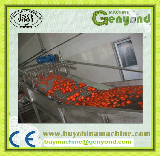 Automatic Washing Machine for Vegetable Processing