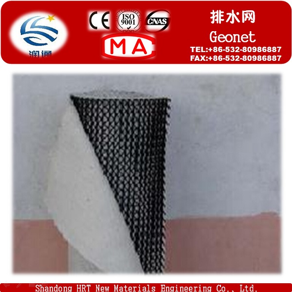 Factory PP Pet Tri-Dimension Compound Geonet for Drainage, Buliding Material